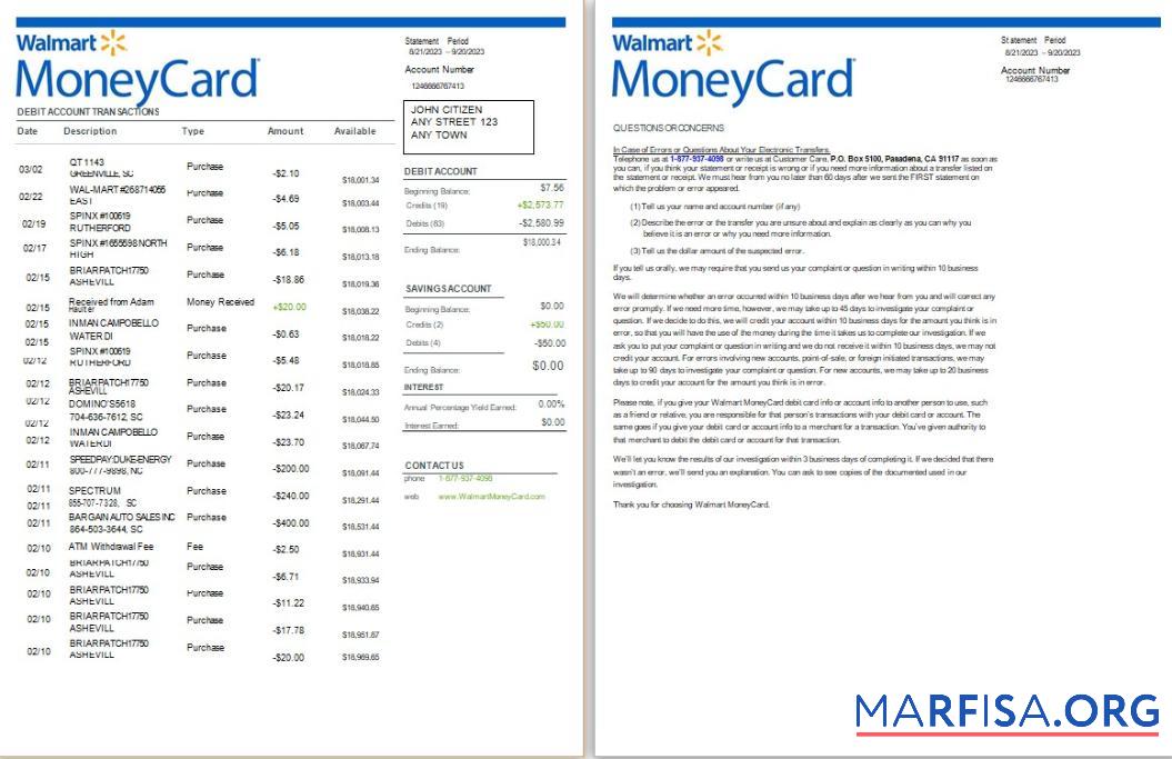 Printable USA Walmart MoneyCard bank statement word 2 pages real example